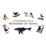 فيلم Attenborough’s Wonder of Song 2022 مترجم اون لاين